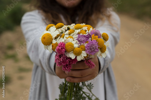 the fresh daises on the hand from herbalist for tea or herb ,medicine .