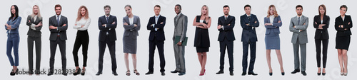 Young attractive business people - the elite business team