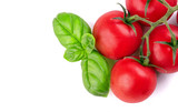 Branch of ripe tomatoes and basil bush