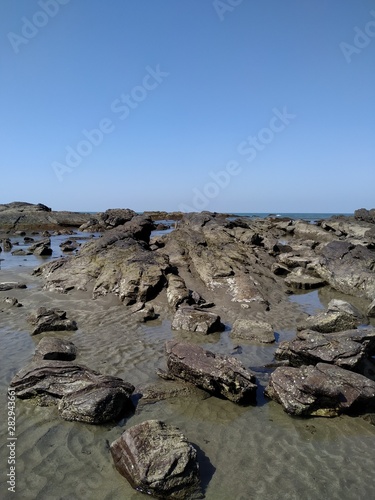 rocks on the beach