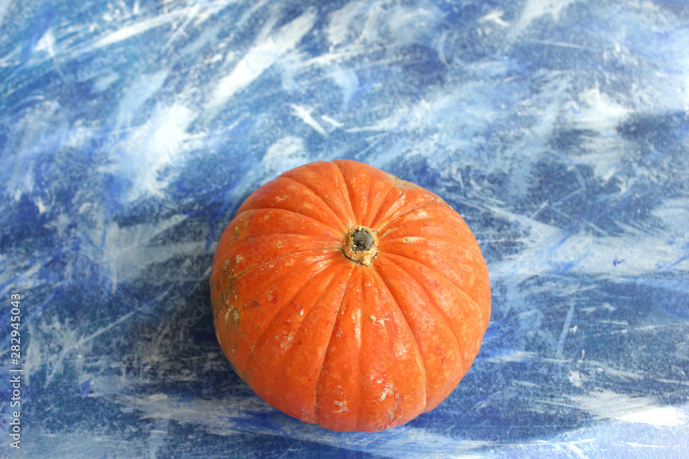 Orange pumpkin on blue texture Orange pumpkin on blue texture
