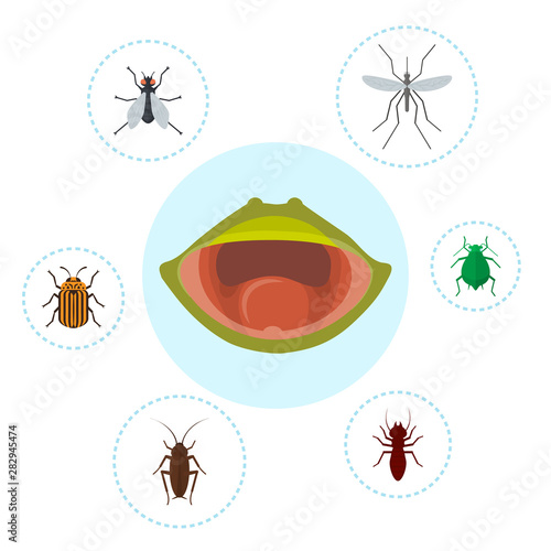 Frog food and nutrition of crocket, moscito, fly and bugs vector illustration. Biology, frogs food chain. Bufo, european tod or froggy mouth.