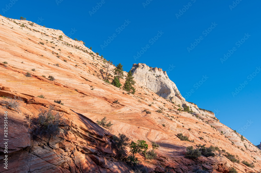 Zion National Park low angle landscape of a steep orange and white stone hillside against the sky