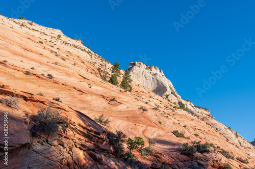 Zion National Park low angle landscape of a steep orange and white stone hillside against the sky
