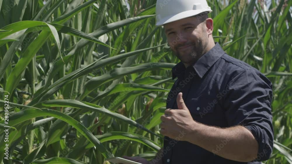 Farming and Agriculture - Man inspecting crops Farming and Agriculture - Man inspecting crops