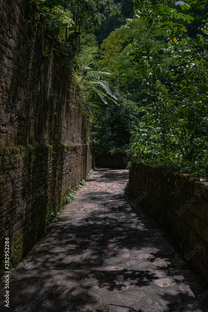 Obraz premium abandoned surrealistic Garden in Xilitla Mexico