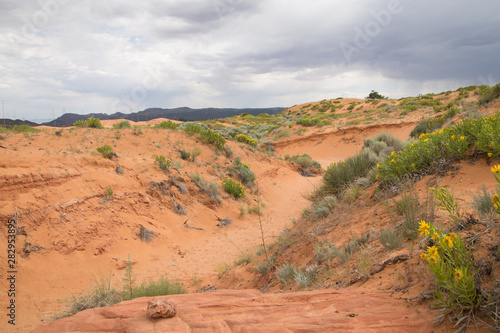 Pink coral sand dunes