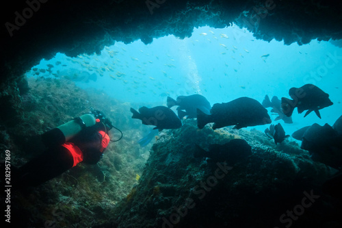 Woman scuba diver swimming through cave with large cod fish and cave mouth © Orion Media Group