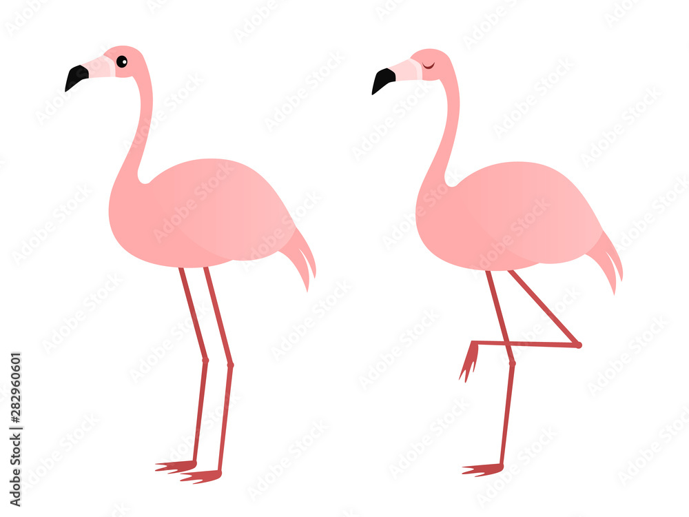 Obraz premium Ilustracja lub dwa flamingi