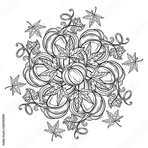 Black and white autumn ornament. Pumpkins and autumn leaves coloring page