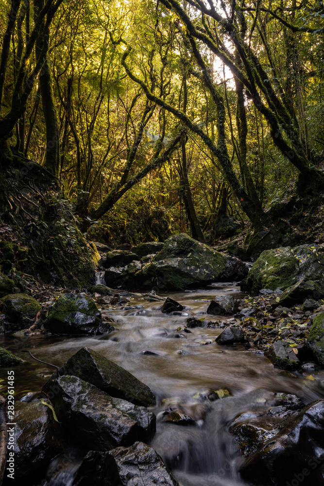 River in the Wellington Region, New Zealand River in the Wellington Region, New Zealand