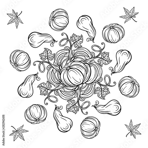 Black and white autumn ornament. Pumpkins and autumn leaves coloring page