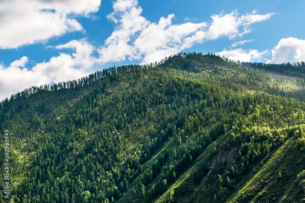 Naklejka premium Mountain slope. Altai Republic, Russia