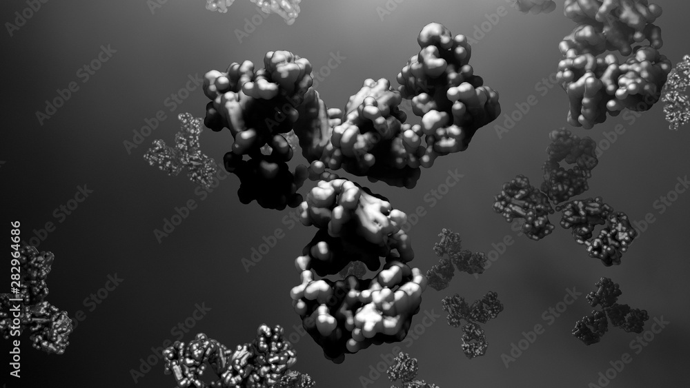 Antibodies protect against microbes Antibodies protect against microbes