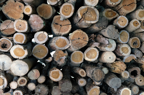 Wall of stacked wood logs