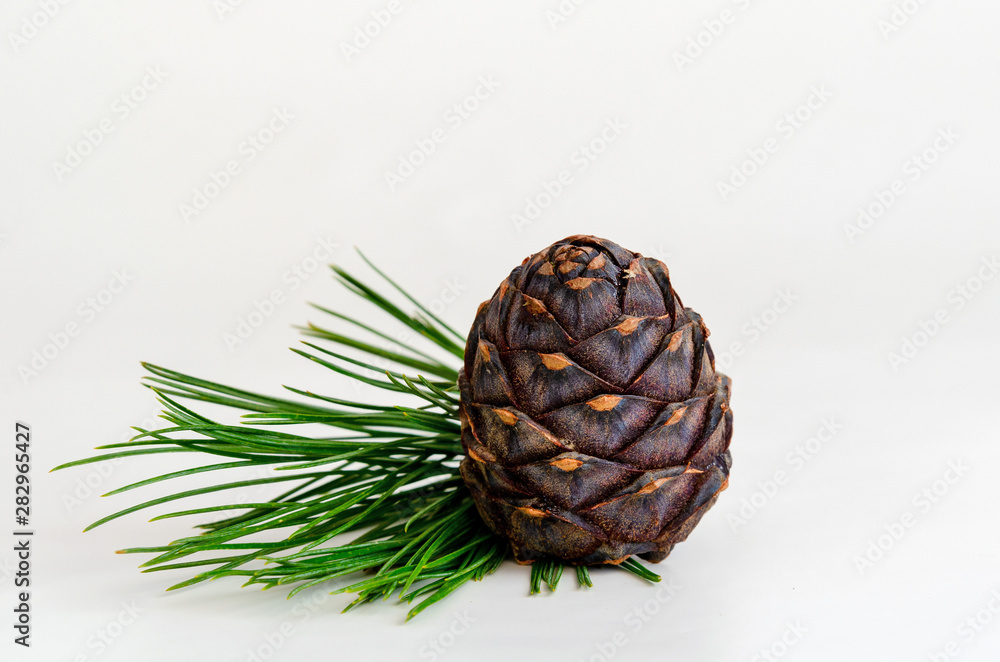 Fototapeta premium Heap of pine cone with needles on white