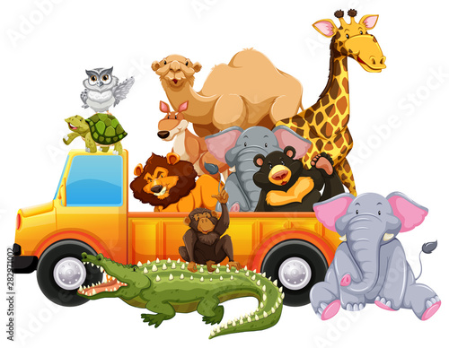 Wild animals on yellow truck