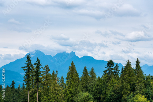 Landscape of deciduous and evergreen trees against a background of blue mountains and stormy gray sky with many clouds © knelson20
