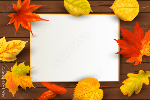 Autumn background with  falling leaves on dark wooden background with paper sheet. Place for text. Great for invitation  sale  wedding  web  fall festival  poster  Thanksgiving. Vector illustration.