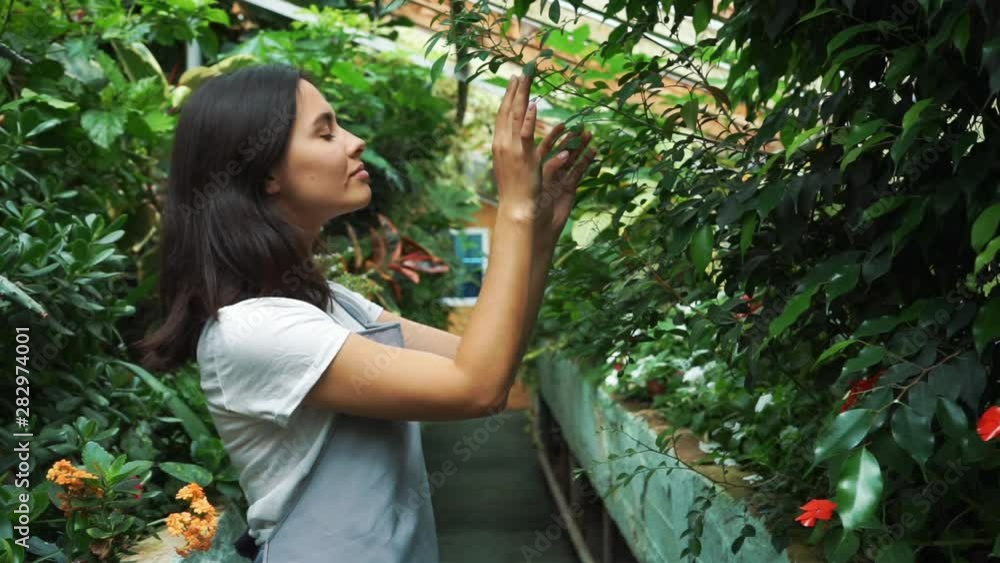 Young entrepreneur florist enjoys the flowers bloom in my greenhouse. Young entrepreneur florist enjoys the flowers bloom in my greenhouse.