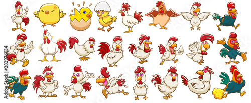 Chicken vector set graphic clipart design