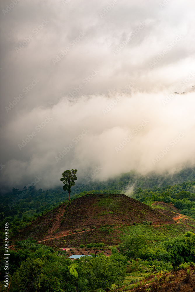 Fototapeta premium The rain stopped but the clouds were still floating.