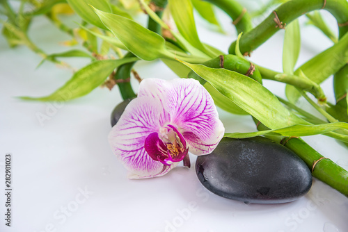 Beautiful spa or body care composition with orchid flower, black massage stones and bamboo stem with drops on the white background