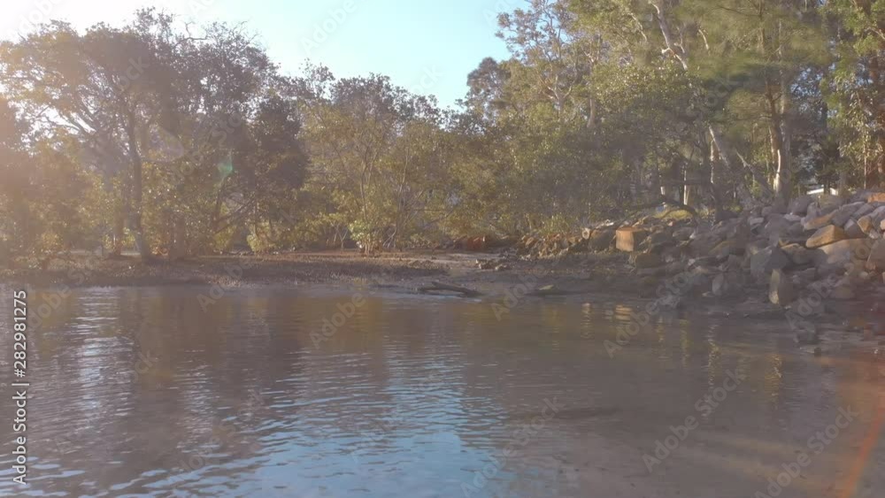 Drone reversing fast from wet land mangroves Drone reversing fast from wet land mangroves