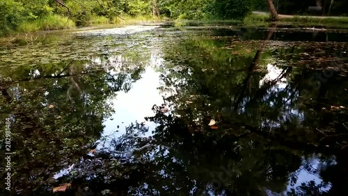 Scenic view of a pond in the Chickasaw National Recreational Area | Oklahoma photo