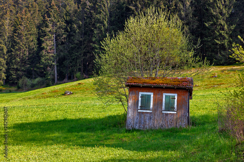 old gardenhouse near Hinterzarten, Germany photo