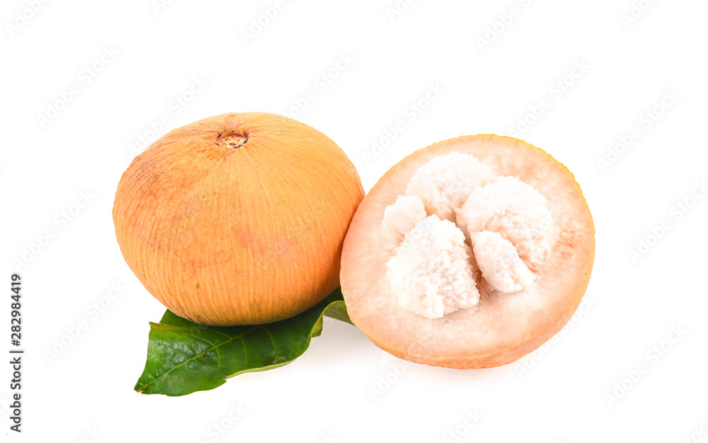 Fresh sontol on white background Fresh sontol on white background