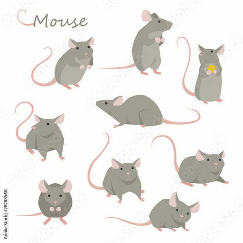 Cute mouse character set. flat design style minimal vector illustration. photo