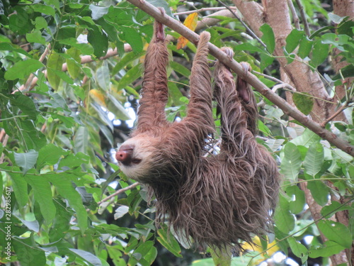 Cahuita, Costa Rica 2 photo