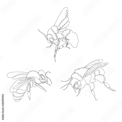 bee. one line. vector image of an insect. set of pictures continuous line