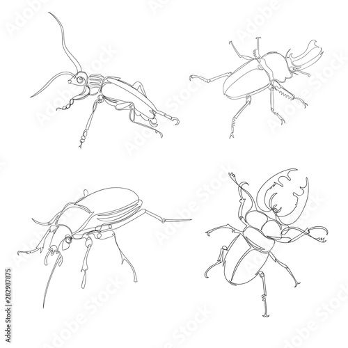 beetle. one line. vector image of an insect. a set of images of beetles of different types