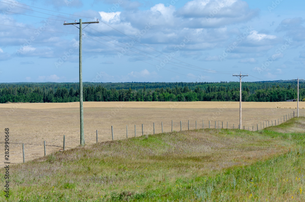 Power lines in the countryside in rural Manitoba Power lines in the countryside in rural Manitoba