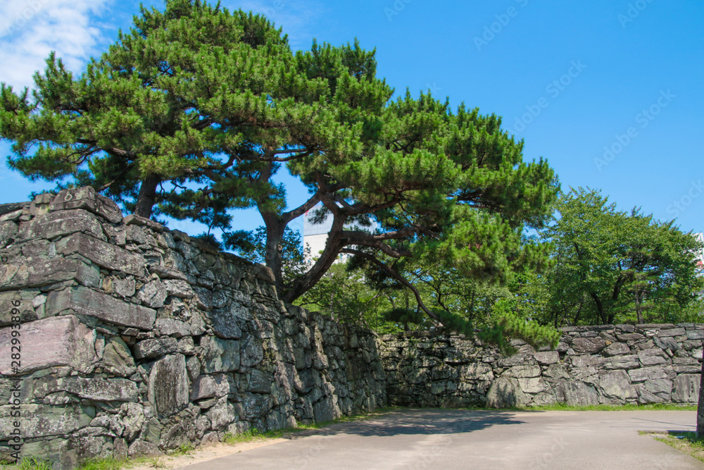 Fototapeta premium 徳島城