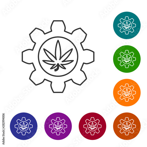 Grey line Chemical test tube with marijuana or cannabis leaf icon isolated on white background. Research concept. Laboratory CBD oil concept. Set icons in color circle buttons. Vector Illustration