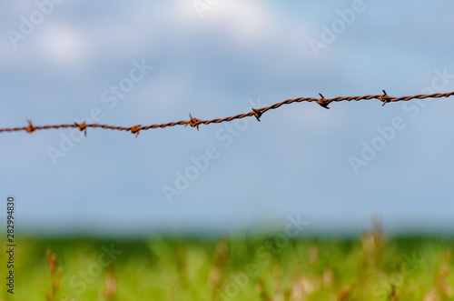 rusty barb wire farm fence close-up photo