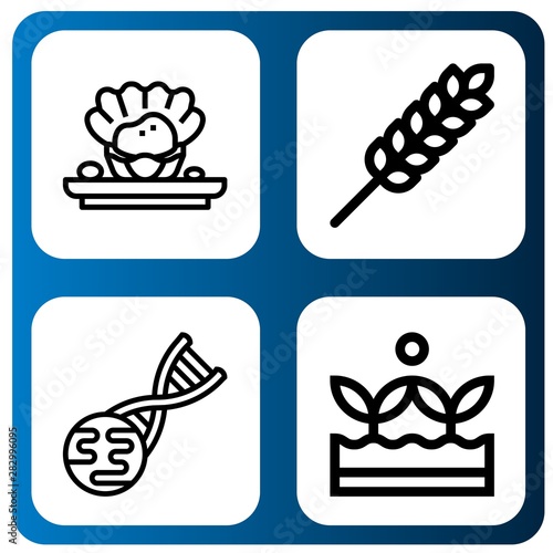 Set of gluten icons such as Shellfish, Wheat, Gmo, Crops , gluten