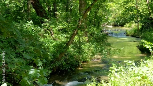 Scenic view in the forest with a flowing creek in Chickasaw National Recreation Area | Oklahoma photo