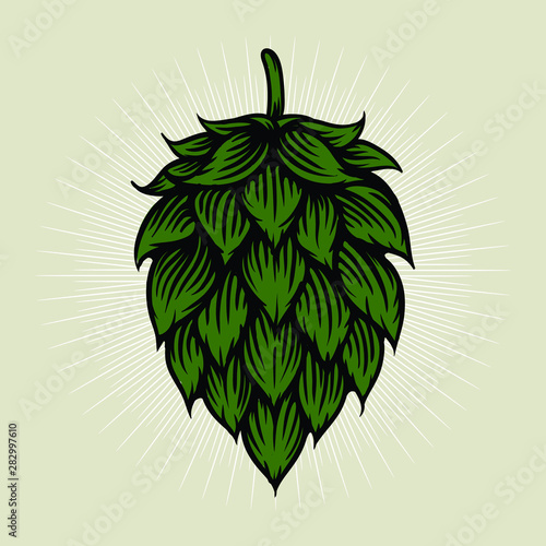 Beer hop illustration in engraving style. Design element for logo, label, emblem, sign, poster, label. Vector illustration photo