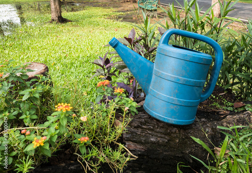 a blue watering can in garden