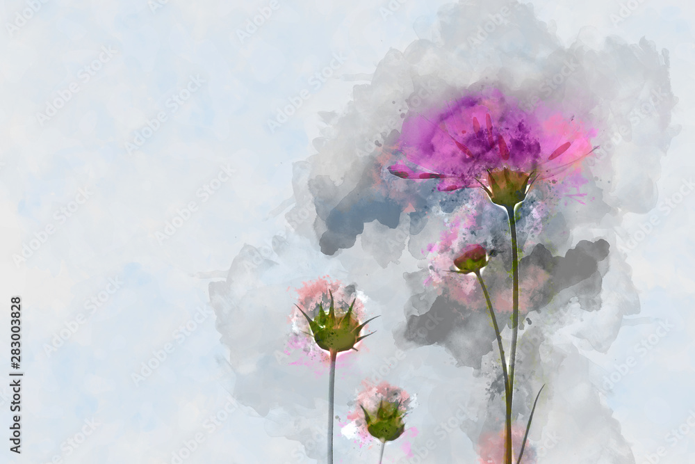 Digital painting of cosmos flower on cool tone background - obrazy, fototapety, plakaty 