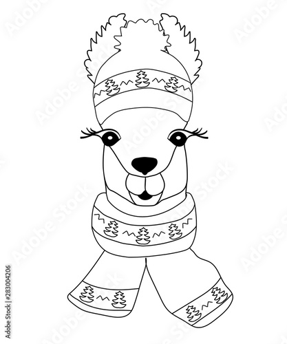 Lama in a winter hat with a scarf depicting a Christmas tree.Llama black-white for coloring, childish print for fabric, t-shirt,card, and different design.