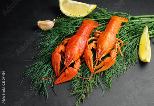 lobsters with green dill garlic lemon lime on black background top view