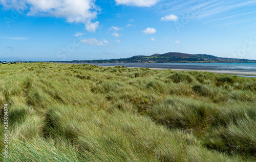 Photography North Bull Island Nature Reserve , Dublin  Ireland