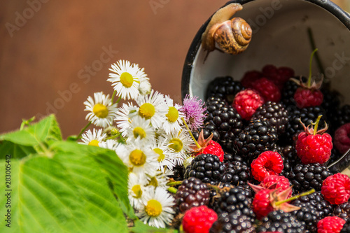 Ripe juicy blackberries, raspberries and chamomile flowers on an old wooden background.
