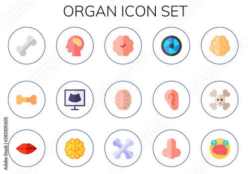 organ icon set