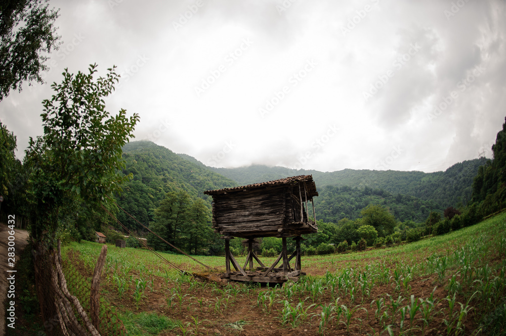 Fish-eye photo landscape of the wooden house on special supports in the middle of the field